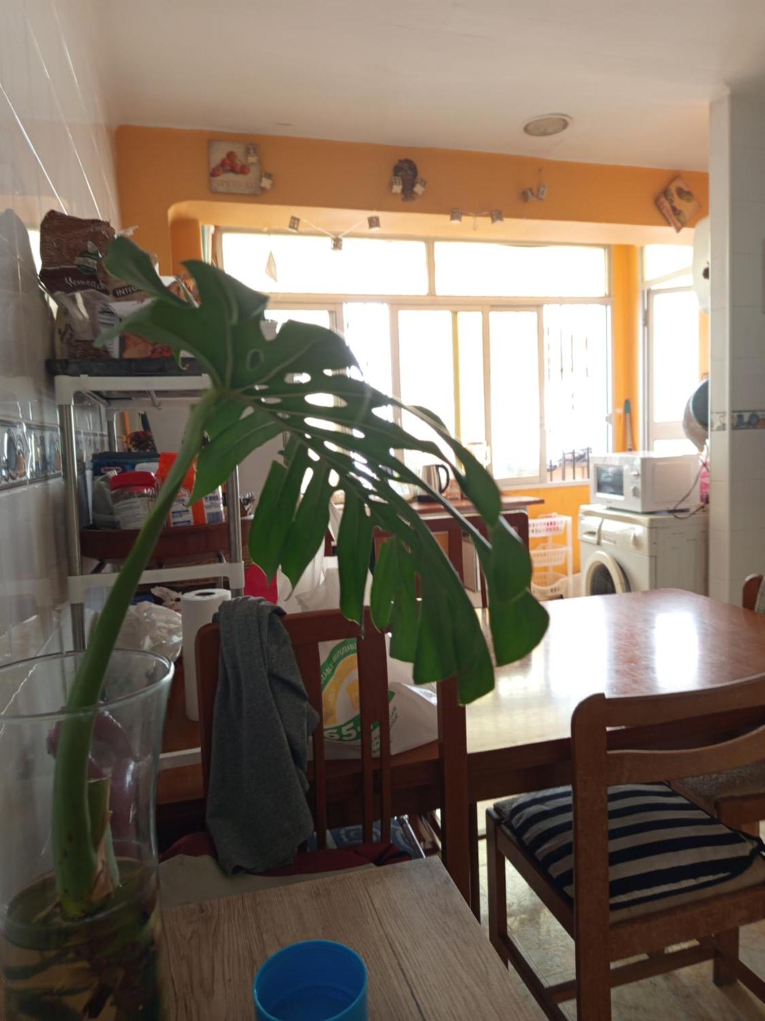 Habitaciones Comodas Gandía Kültér fotó